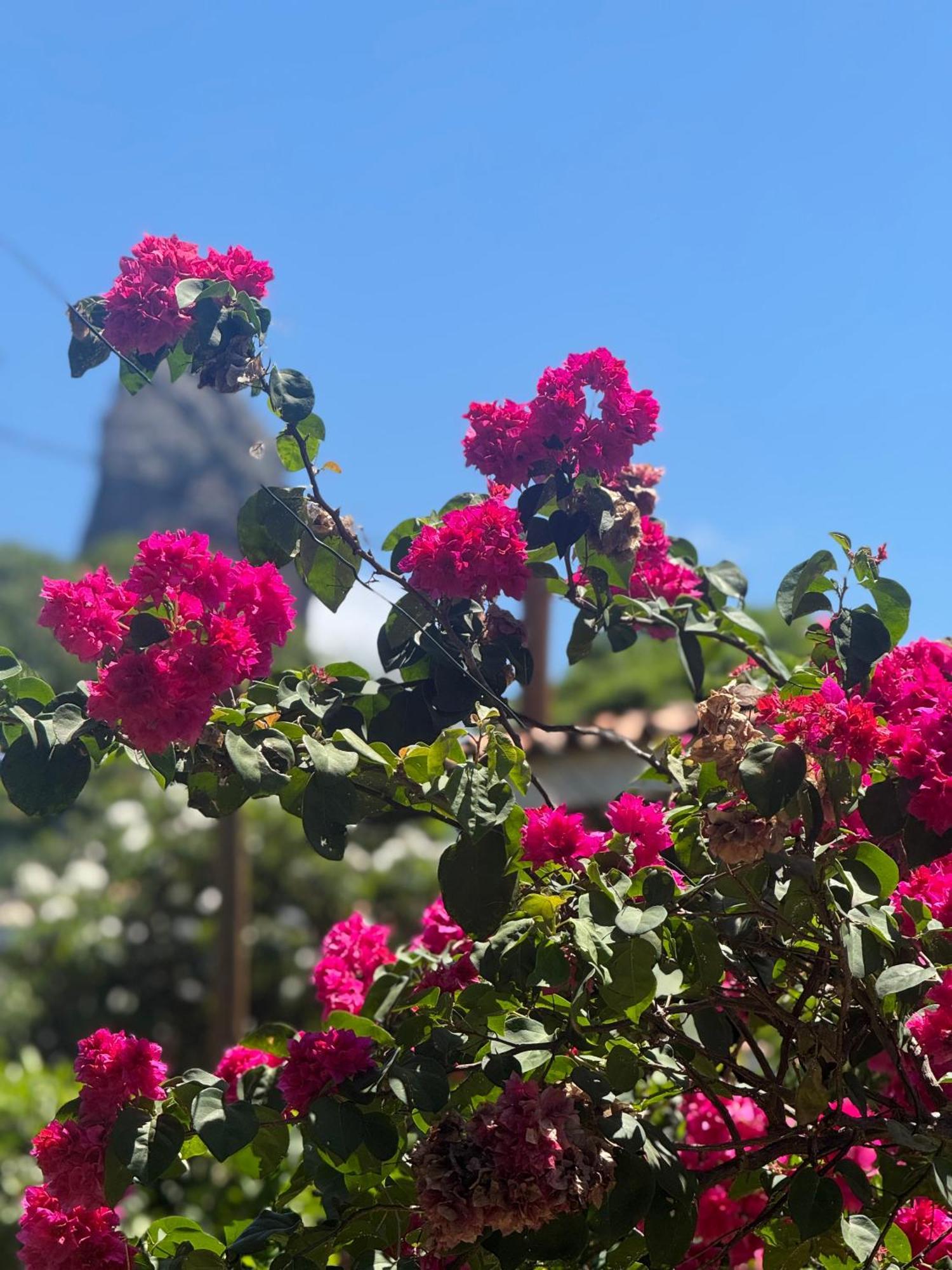 Pousada Rosemary Suites フェルナンド・デ・ノローニャ エクステリア 写真